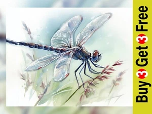 Elegant Dragonfly Watercolor Art Print 10" x 8" - Nature-Inspired Decor - Picture 1 of 5