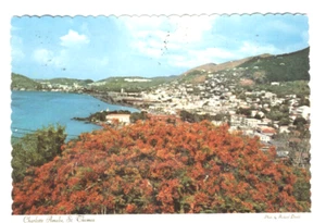 1974 St THOMAS Virgin ISLANDS Charlotte AMALIE Stamped POSTCARD Flamboyant TREE - Picture 1 of 2