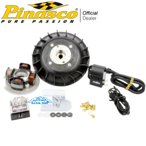 PINASCO KIT ACCENSIONE ELETTRONICA VOLANO 1,6 Kg STATORE CENTRALINA VESPA GS 160 - Imagen 1 de 6
