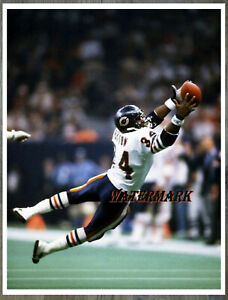 Walter Payton Chicago Bears Diving Catch Game Action Color 8 X 10 Photo Picture