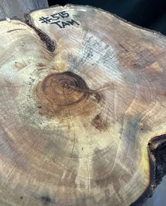 #515 TAMARIND EXOTIC SPALTED BOWL BLANK LATHE TURNING 8”-10”x 7” - Picture 1 of 5
