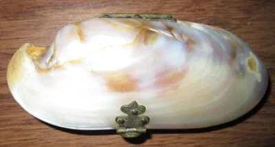 Precioso monedero victoriano de madreperla, forro original, cierre, bisagra Foto 1 de 4