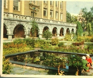 Antique (1910s) Bergen Gardens, Norway Photo Lithograph Postcard - Picture 1 of 2