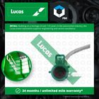 Lambda Sensor Fits Ford Fiesta Mk6 1.25 08 To 17 Oxygen Lucas 1516718 1527105