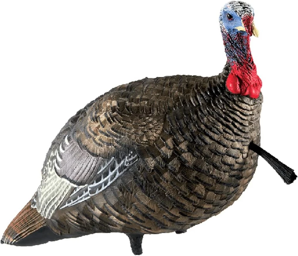 Avian-X LCD Jake Quarter Strut Collapsible Standing Turkey Decoy W/ Bag - Image 1 of 1