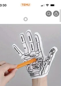 Akupressur Massagehandschuhe und Styllus. Rub Away Pain. Handschuhe Show Body Map. - Bild 1 von 3