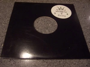 Witchdoctor "Holiday" INTERSCOPE RECORDS 12" SINGLE LP W/HYPE STICKER - Picture 1 of 4