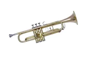 TRUMPET NEW HIGH QUALITY SOUND! BRASS Bb FLAT TRUMPET WITH FREE CASE+MOUTHPIECE - Picture 1 of 4