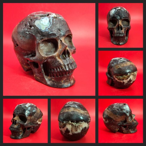 Natural Mexican Crazy Lace Agate Hand Carved Realistic Skull Crystal