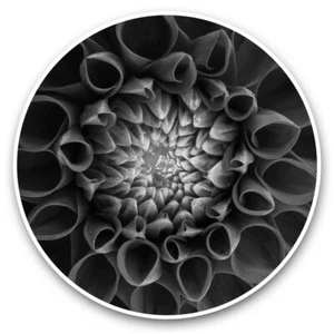 2 x Vinyl Stickers 20cm (bw) - Pretty Macro Flower Chrysants #36167 - Afbeelding 1 van 8