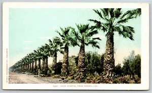 Vintage Postcard "Palm Avenue, Near Fresno, CA Unposted VGC - Picture 1 of 2
