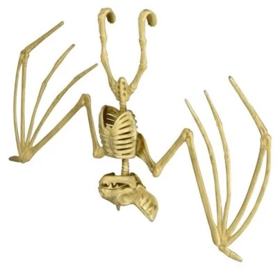 Halloween Decor Bones Bat Skeletons about 7”Hx12”Wx2”D, 1/Pk - Image 1 of 3
