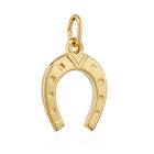 Horseshoe Chain Pendant 333 Yellow Gold Pendant Lucky Bringer and Protection