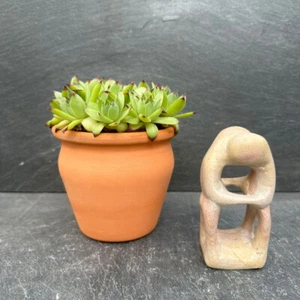 1 Kleiner Terrakottatopf Terracotta Topf Übertopf Blumentopf Orchidee - Bild 1 von 11