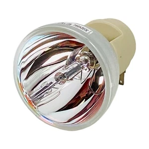 Genuine Osram Replacement Bulb for Optoma BL-FU240E BL-FU240K SP.7G6R1GR01 Lamp - Picture 1 of 7