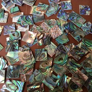 1 Stck. 13 mm Neuseeland Abalone Schale Blatt für Musikinstrument Zubehör Zum Selbermachen - Bild 1 von 7