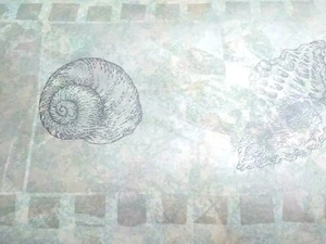 WALLPAPER BORDER Beach Conch Shell Shells Blue Gray Conch Shells EH99954 NIP - Picture 1 of 3