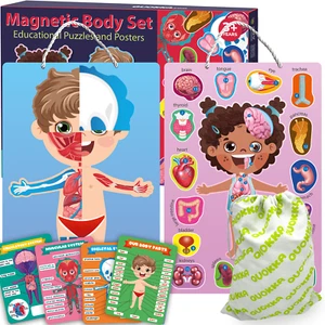 QUOKKA Magnetic Montessori Puzzles for Kids | Anatomy - Picture 1 of 6