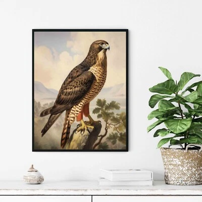 Pôster arte vintage pássaro falcão pintura arte parede - Imagem 1 de 4