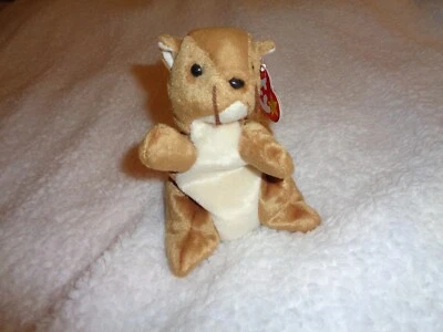 TY Beanie Babies Nuts the Squirrel - Image 1 of 4