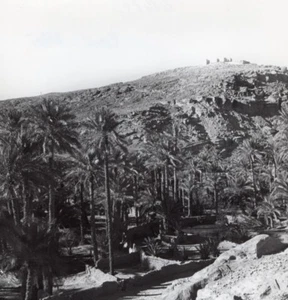 Oase Beni Abbes Panorama Algerien altes Foto 1940 - Bild 1 von 4