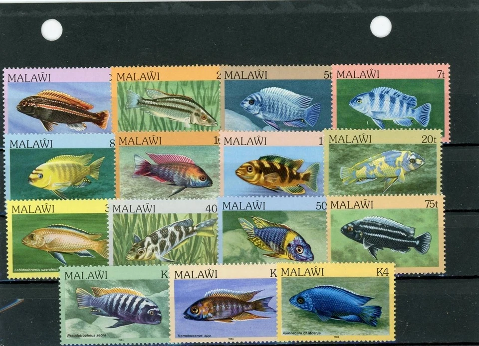 Malawi 1984 Fish Scott # 427-41 como nuevo casi nuevo Foto 1 de 1