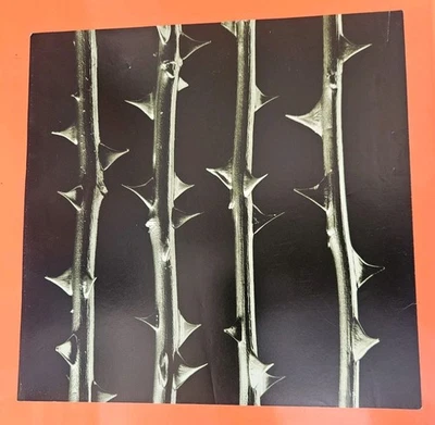 Record Store Promo 1996 Type O Negative 12"x12" 2 Sided Poster Peter Steele  - Image 1 of 3