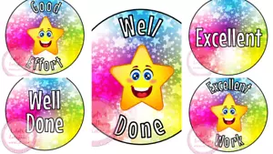 Well Done Excellent School Teacher Reward Stickers Star Student Pupil Class - Picture 1 of 9