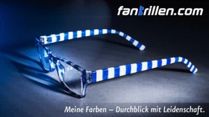 Die Schalke-Brille Lesebrille blau-weiß mit Etui Top-Qualität Top-Geschenk - Bild 1 von 7