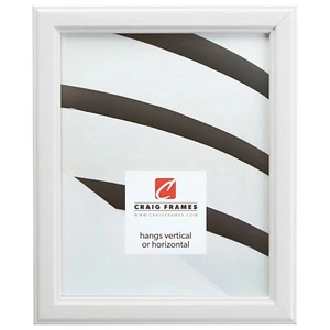 Craig cornici pioppo tulipano, 1" semplice cornice per cornice legno bianco cornice poster - Foto 1 di 10