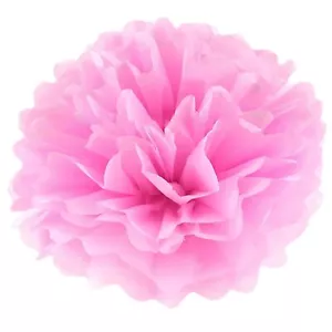 20pcs Paper Pom Poms Decorations DIY Decorative Tissue Paper Pom-poms Flowers... - Picture 1 of 5