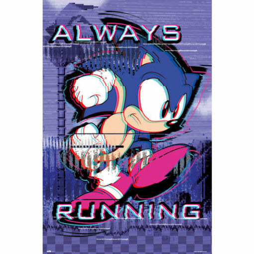 Quadro Decorativo SN118 - Sonic | Wall Street Posters