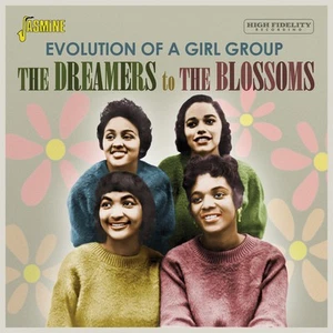Various Artists Evolution of a Girl Group: The Dreamers to the Blossoms (CD) - Bild 1 von 1