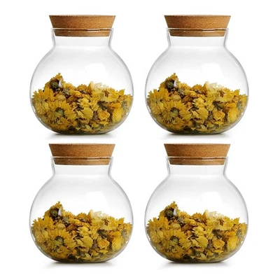 17oz Spherical Glass Jar with Cork Lid Airtight - Kitchen Glass Jar for Prese... - Image 1 of 4