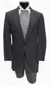 Abrigo de Frock Largo por la Mañana Cortado Gris Disfraz de Teatro Dañado Violer Victoriano - Imagen 1 de 3