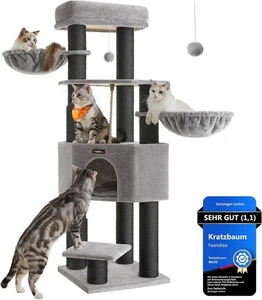 Feandrea Katzenkratzbaum für große Katzen mit Selbstwärmenden Decken, 160 cm - Bild 1 von 11