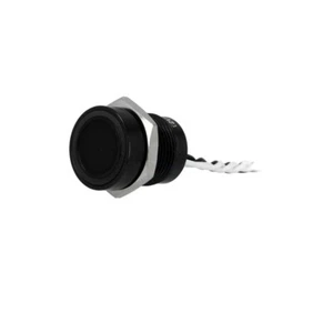 PS165P10Y21W12V Schalter: piezoelektrisch Pos: 2 SPST-NO 0,2A/24VAC 0,2A/24VDC O - Bild 1 von 1