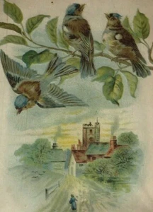 Traje combinado de hierro casta con tarjeta intercambiable victoriana de pájaros azules en relieve - Imagen 1 de 3