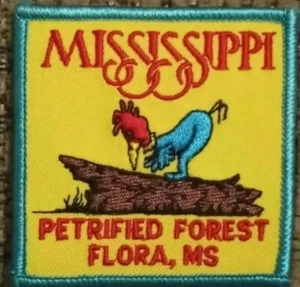 Petrified Forest embroidered Iron on patch - Picture 1 of 2