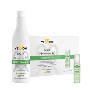 ALFAPARF Yellow Kit Scalp Energy Shampoo 500ml + Lotion 6x13ml - Imagen 1 de 1