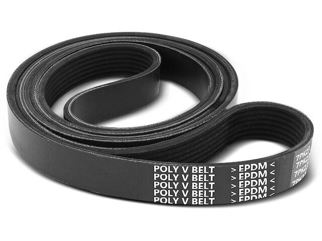 Accessory Drive Belt fits Jaguar XK8 1997-1999 4.0L V8 Base 15CYZM Foto 1 de 1