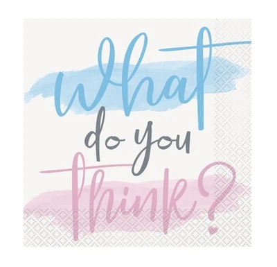 Gender Reveal Party Paper Napkins 16 Pack Baby Shower Celebration Boy Girl - Image 1 of 2