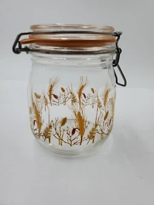 Level De Remplissage En Francia 1/2 L Tarro de Vidrio Bote De Colección Cerradura de Bisagra de Alambre - Imagen 1 de 17