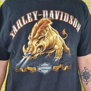 Retro Harley-Davidson Hog Cherohala Skyway Telico Plains Schwarz T-Shirt XXLarge - Bild 1 von 5