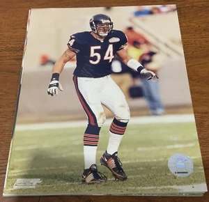BRIAN URLACHER 8x10 UNSIGNED PHOTO FILE PHOTOFILE LICENSED CHICAGO BEARS RARE - Picture 1 of 1
