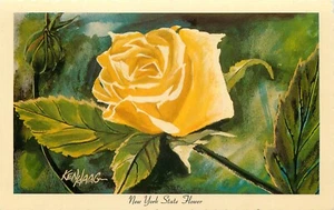 Postal Estatal Flor Rosa Nueva York Ken Haag Artista Sin Publicar Firmado - Imagen 1 de 2