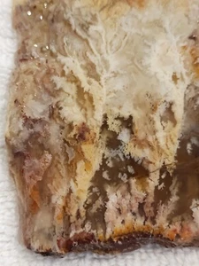 Bella Vista Plume Agate Beautiful, Nice Plumes, Very Hard Material 4.25 Ounces - Picture 1 of 15