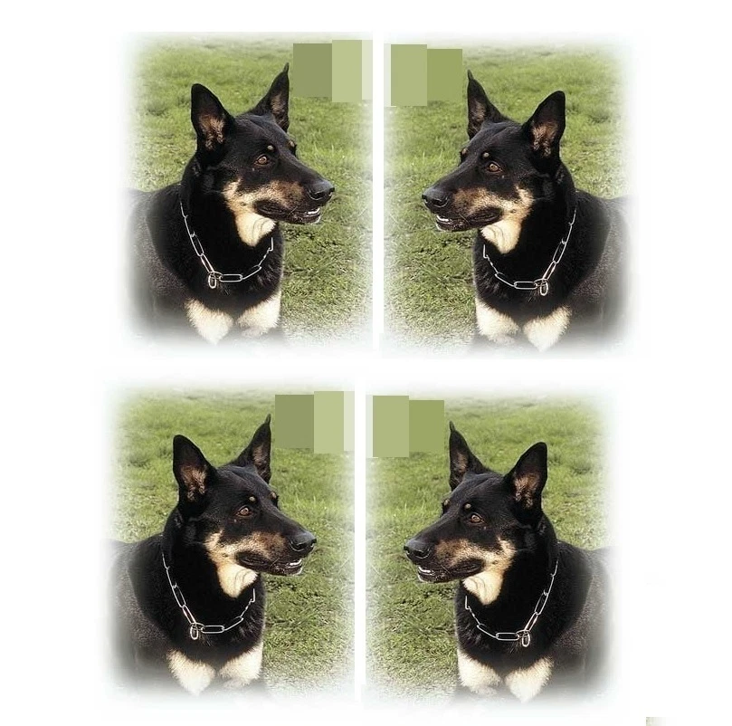 BRANDED HERM SPRENGER Fur Saver Dog Collar - all sizes - German steel - highest quality