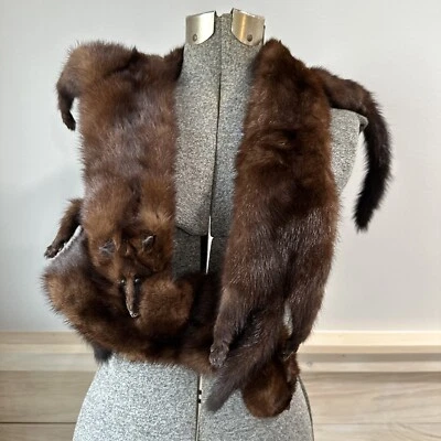 4 Collar Estola Fox 50” Excelente Estado Vintage Murphy’s Fur Co Maine Años 60’s Foto 1 de 4