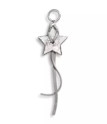 DIOR Belleza Lealtad Regalo Vacaciones Estrella Llavero/Bolso Dije Auténtico ¡NUEVO! Foto 1 de 4